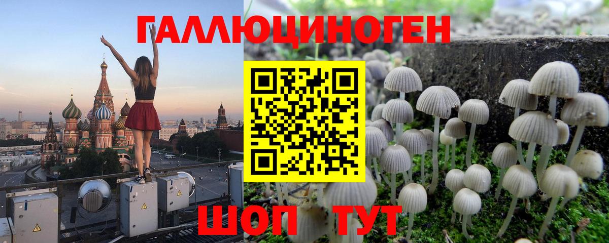 Псилоцибиновые грибы прущие грибы Урай